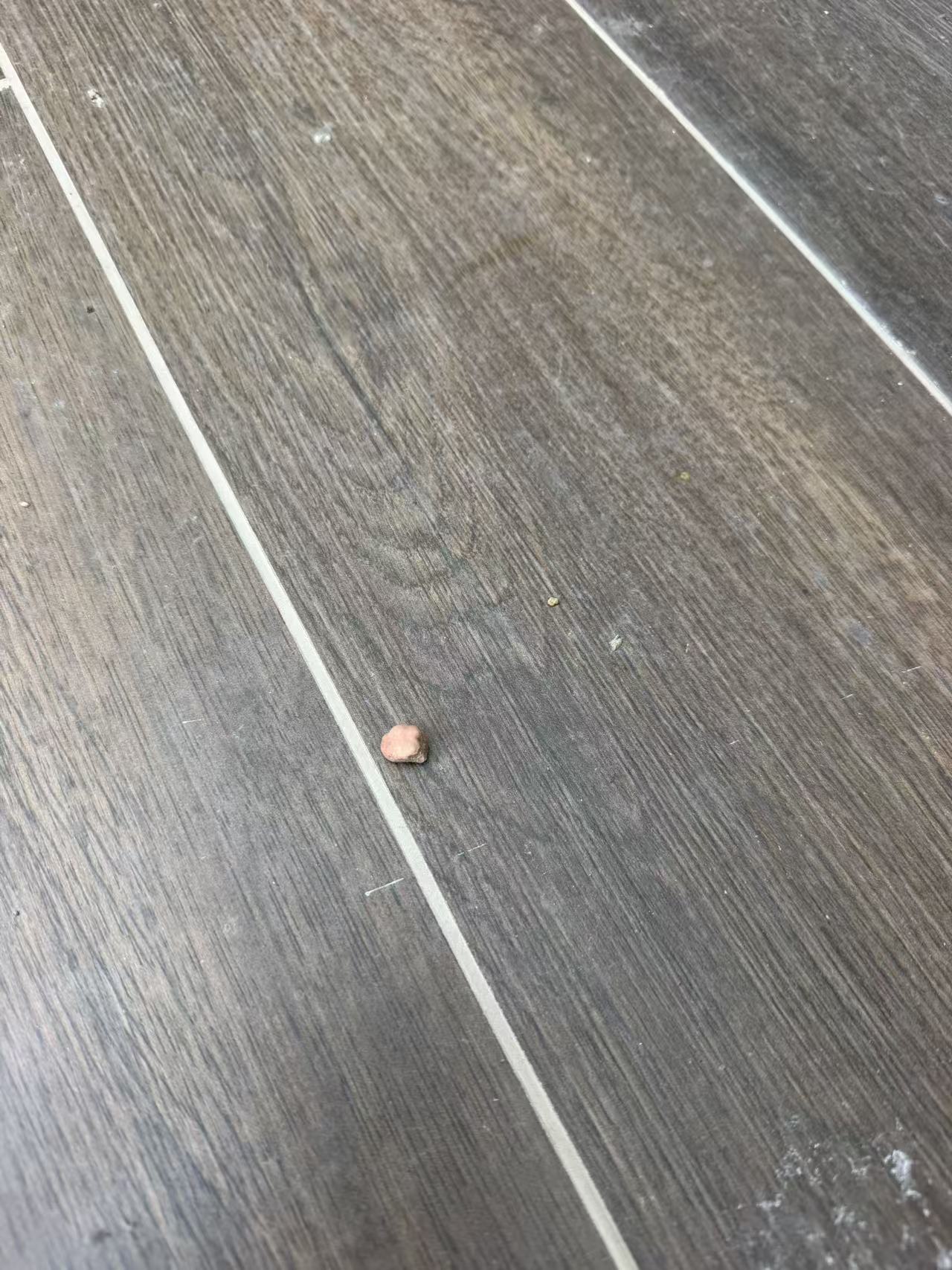 石块砸碎业主窗户